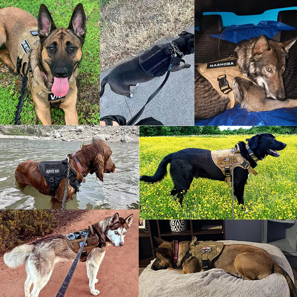 Pechera Táctica K9